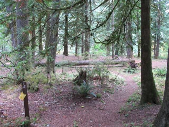 Fish Creek Campground Site#4