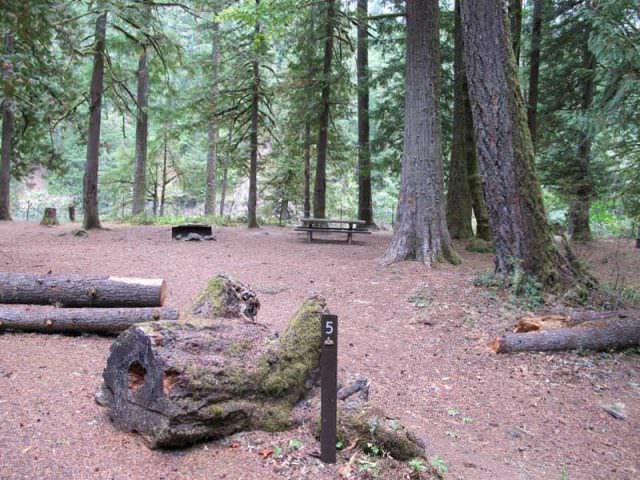 Fish Creek Campground Site#5