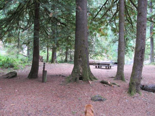 Fish Creek Campground Site#6