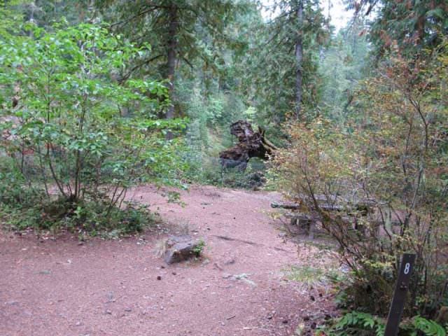 Fish Creek Campground Site#8