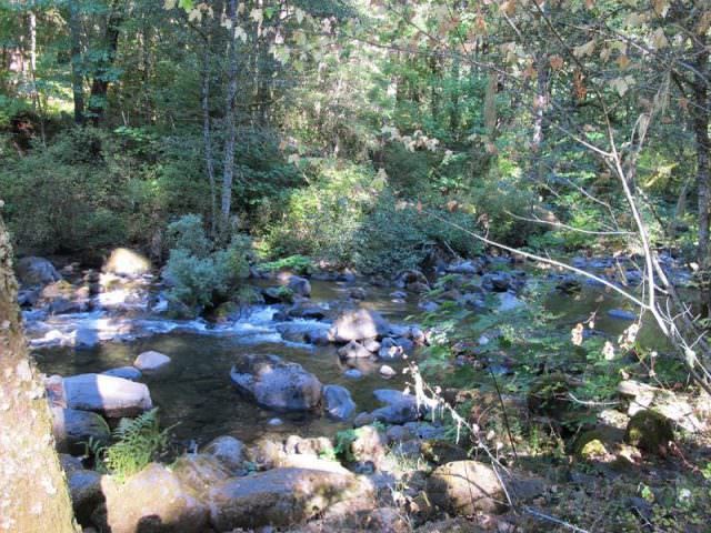 Creek through campground