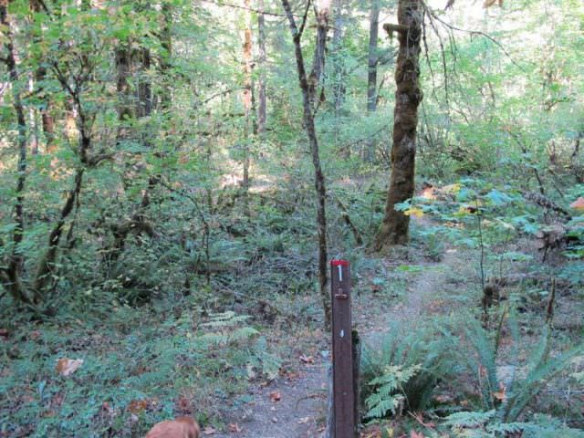 Rainbow Campground Site#1