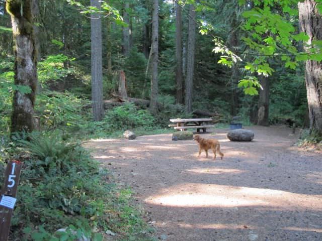 Rainbow Campground Site#15