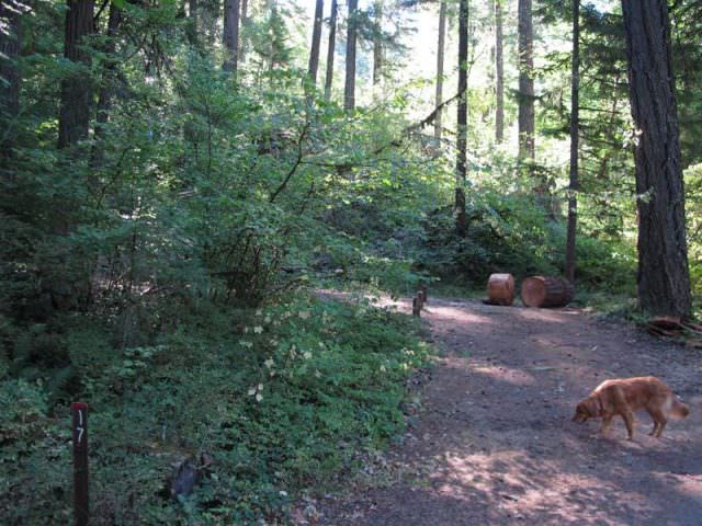 Rainbow Campground Site#17