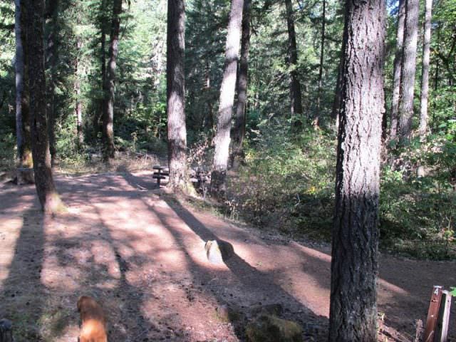 Rainbow Campground Site#4