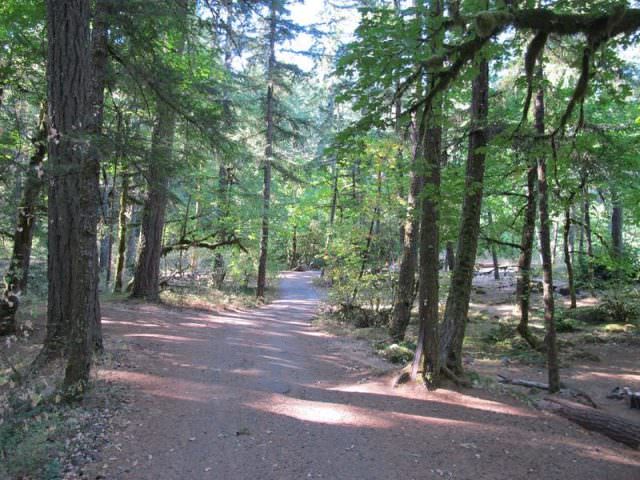 Road through campground