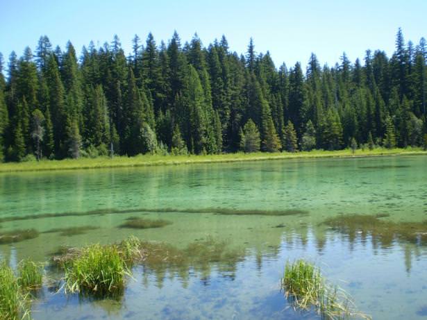Clackamas Lake Oregon