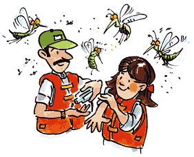 Read more about the article Guide to Buying Insect Repellent