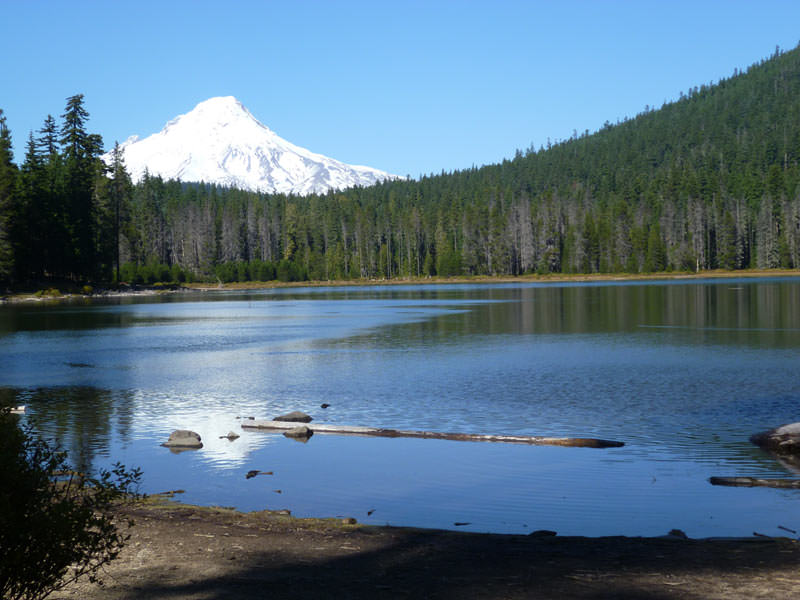 Frog Lake Campground Oregon Mount Hood