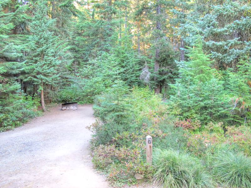 Frog Lake Campground Oregon Mount Hood