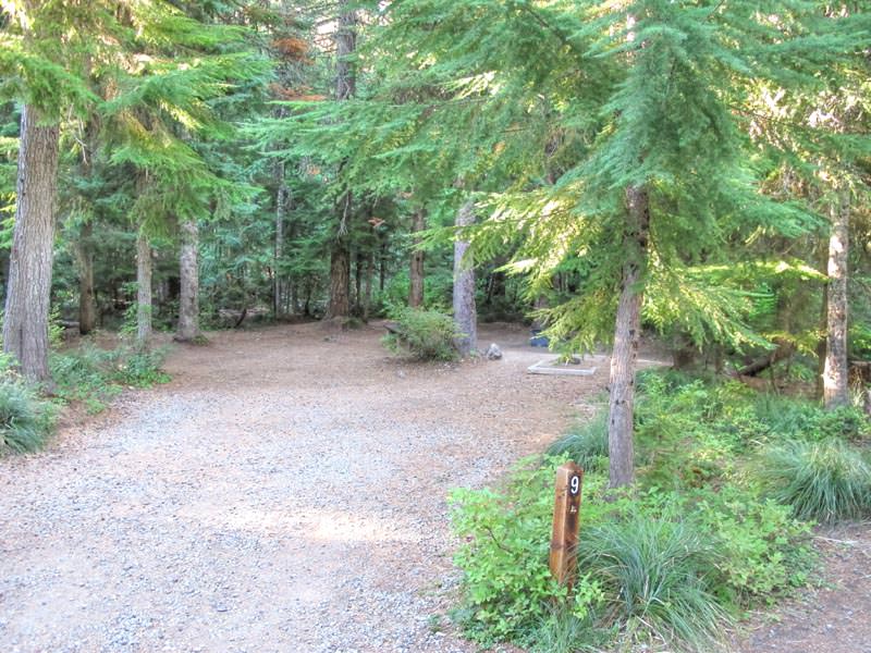 Frog Lake Campground Oregon Mount Hood