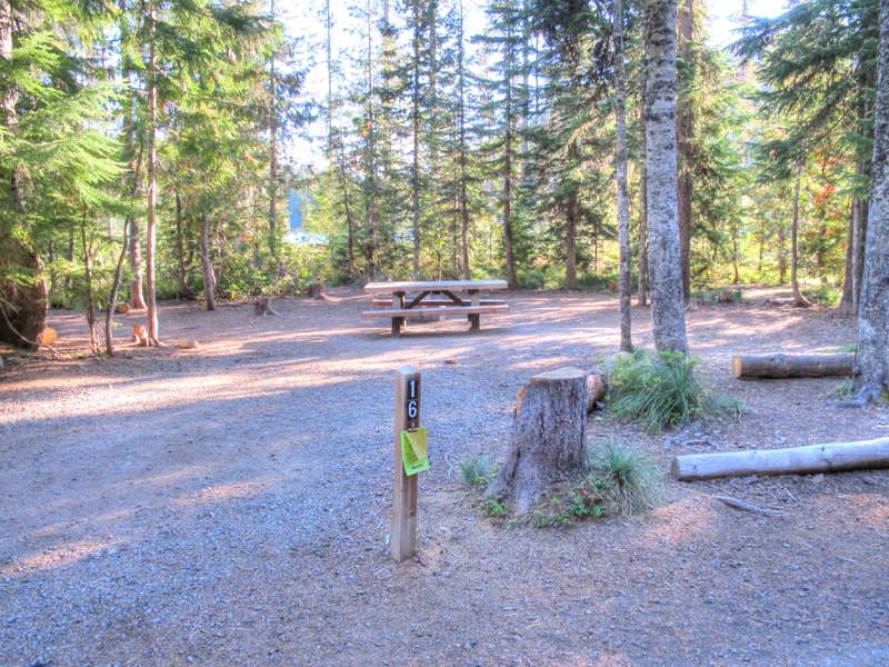 Frog Lake Campground Oregon Mount Hood