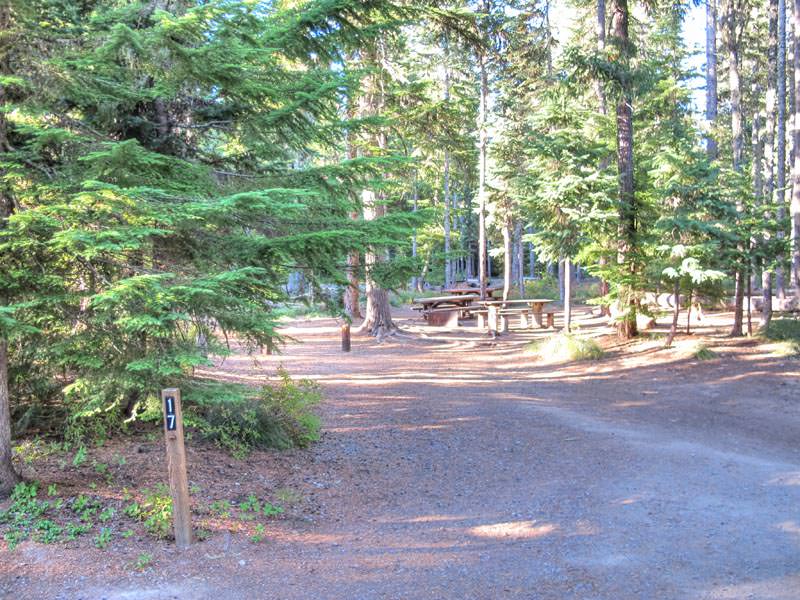 Frog Lake Campground Oregon Mount Hood