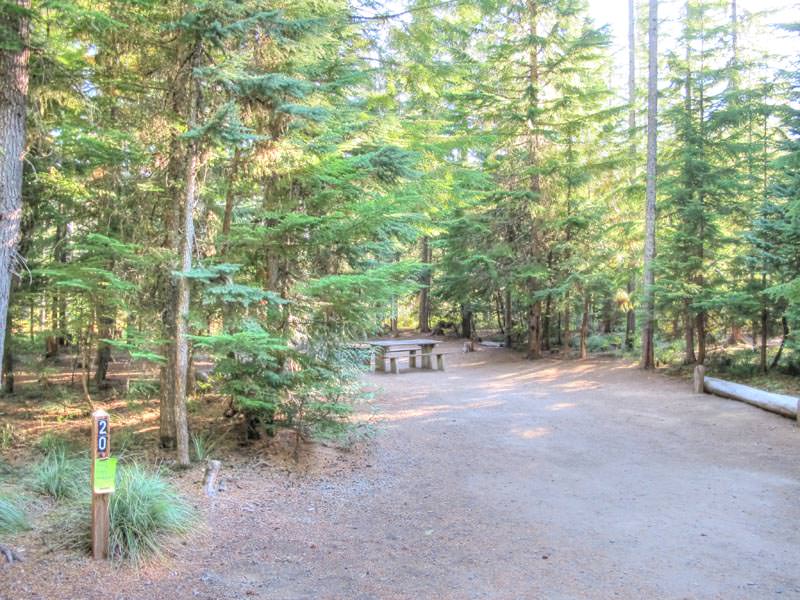 Frog Lake Campground Oregon Mount Hood