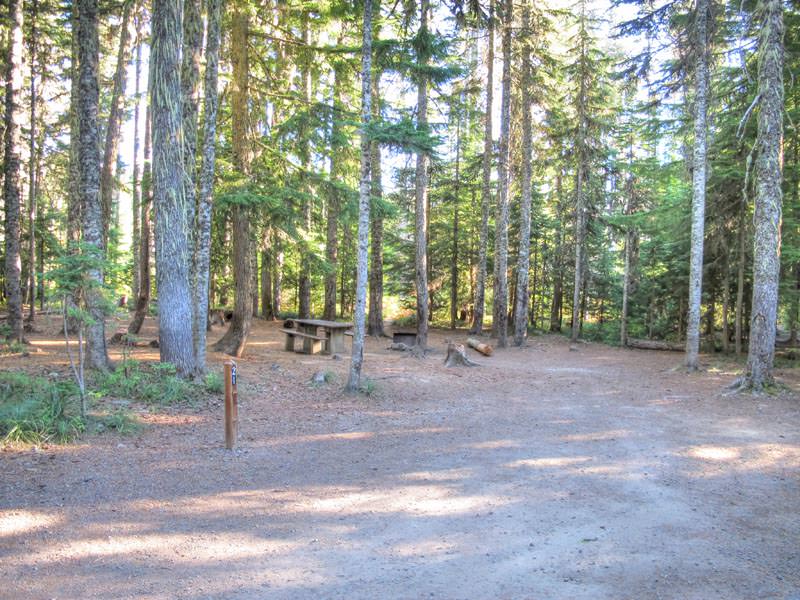 Frog Lake Campground Oregon Mount Hood