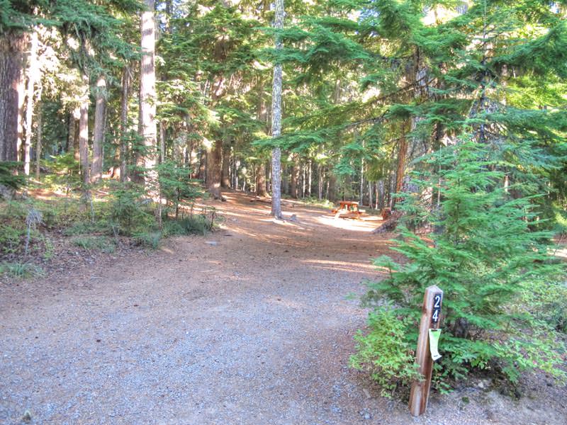 Frog Lake Campground Oregon Mount Hood