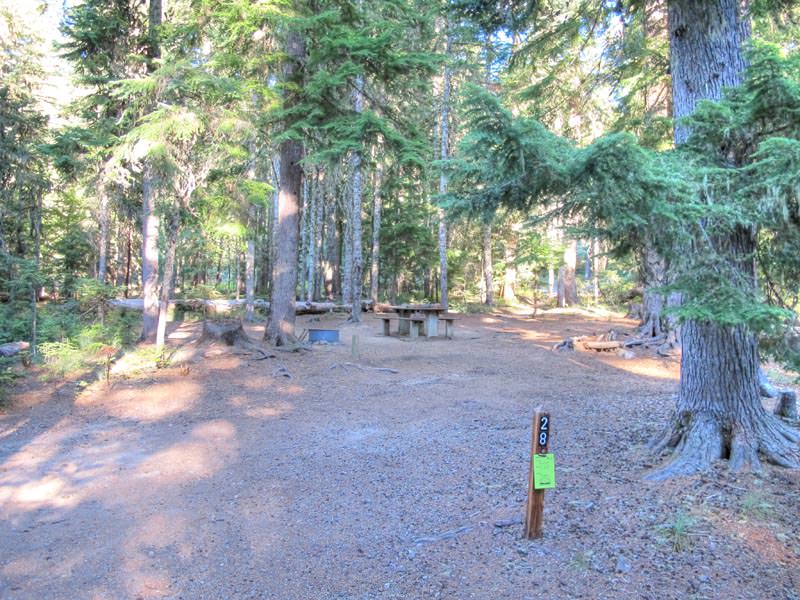 Frog Lake Campground Oregon Mount Hood