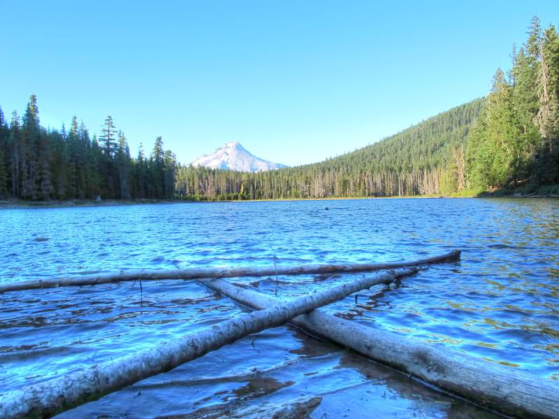 Frog Lake Campground Oregon Mount Hood
