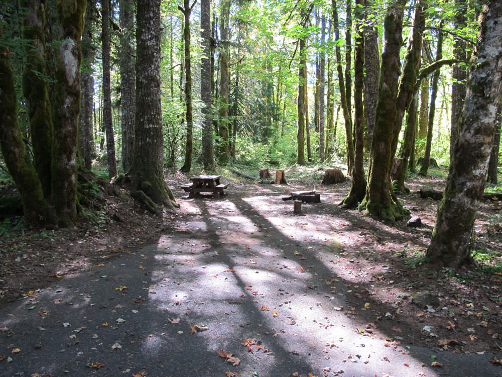 Beaver Campground Carson, Washington