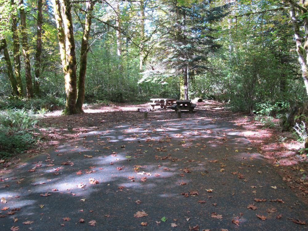 Beaver Campground Carson, Washington