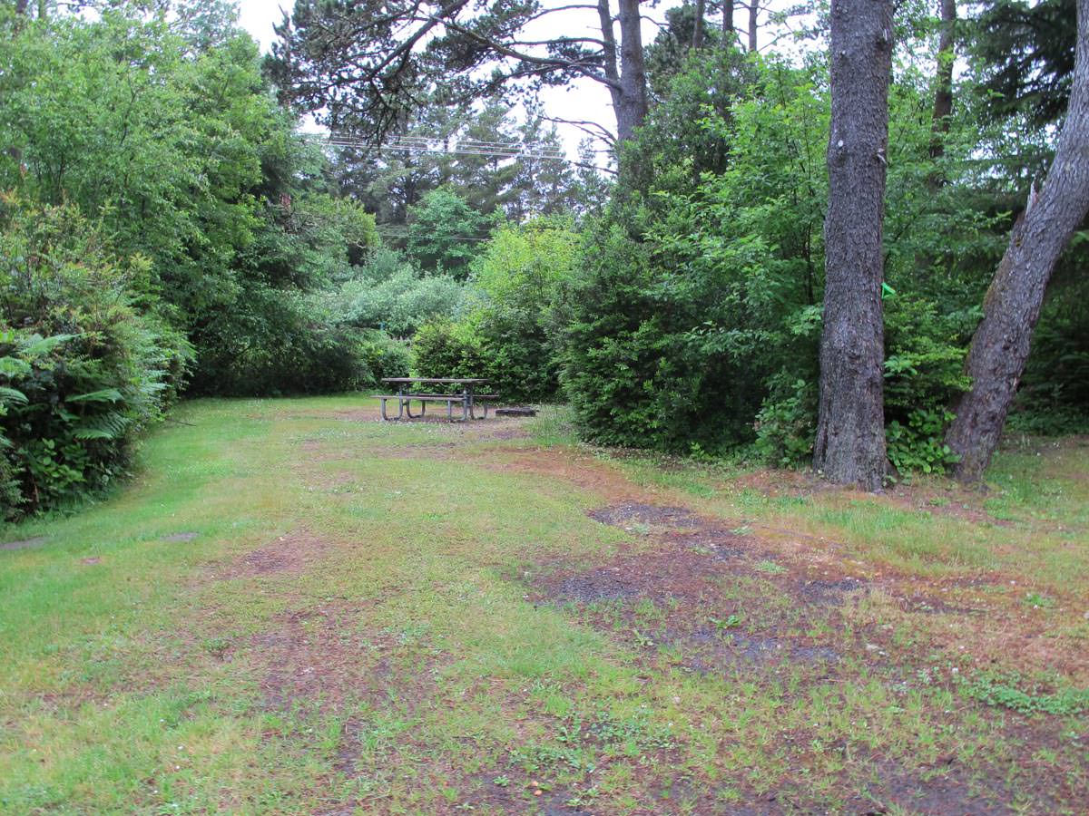 Twin Harbors State Park Westport, Washington