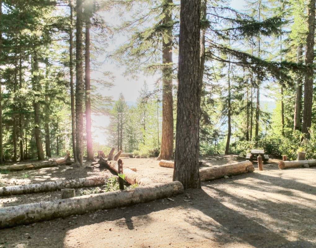 Escape to Serenity: Your Guide to Oregon's Clear Lake Campground