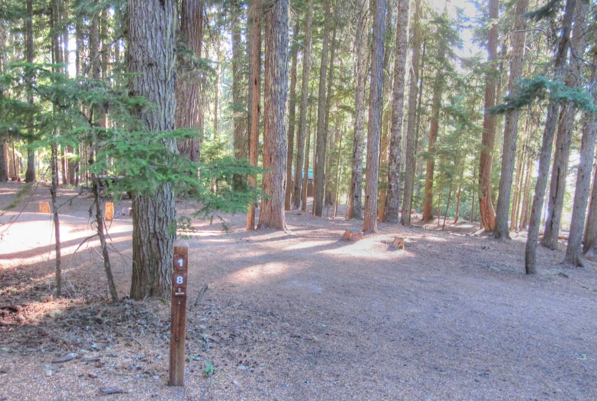 Clear Lake Campground, Mt. Hood Oregon