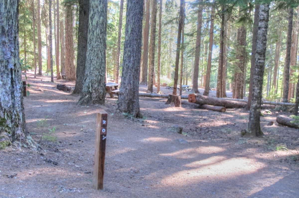 Clear Lake Campground, Mt. Hood Oregon