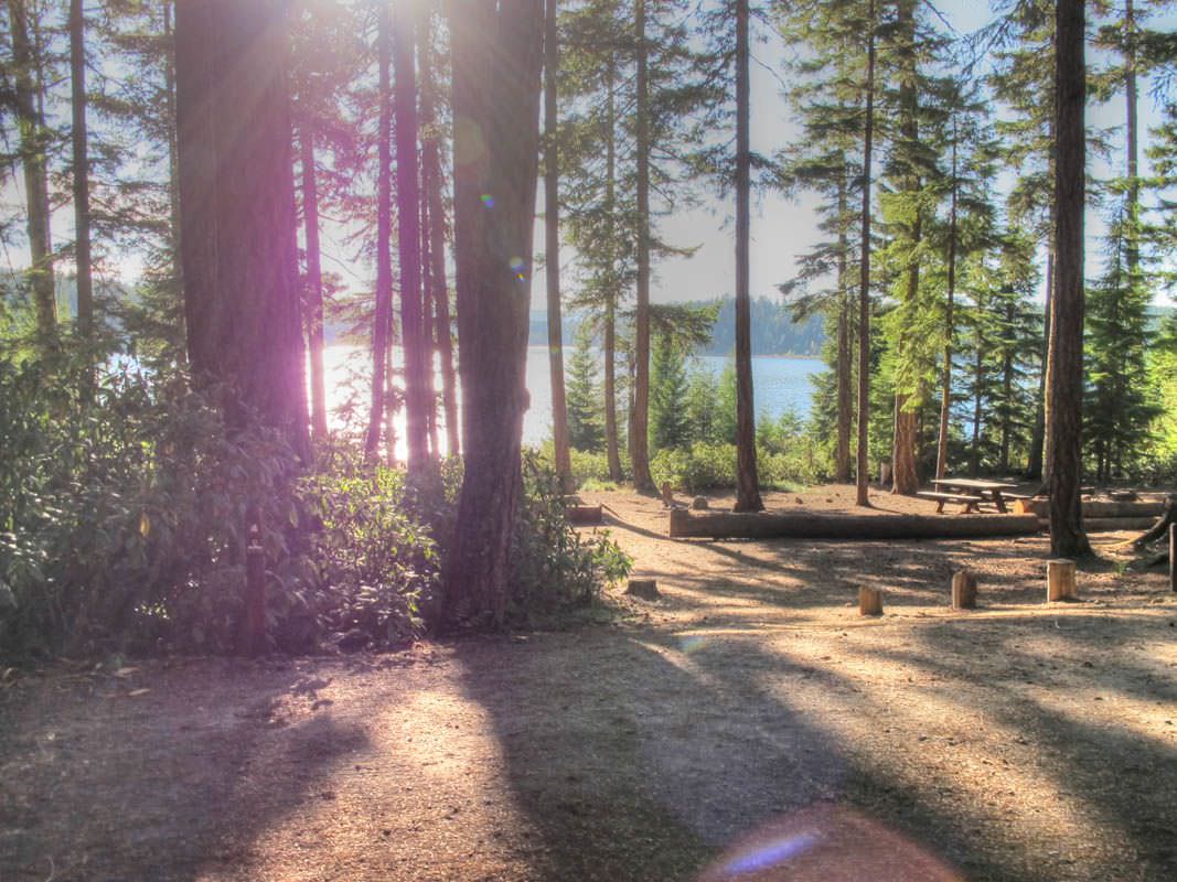 Clear Lake Campground, Mt. Hood Oregon