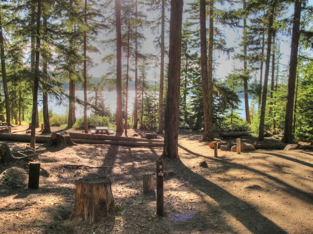 Clear Lake Campground Mt Hood Oregon