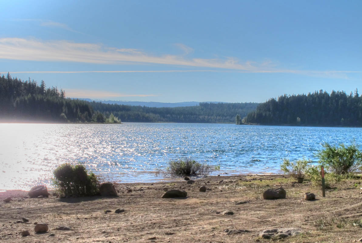 Clear Lake Campground, Mt. Hood Oregon