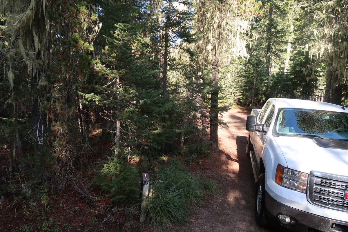 Horseshoe Lake Campground Mt. Adams, Washington