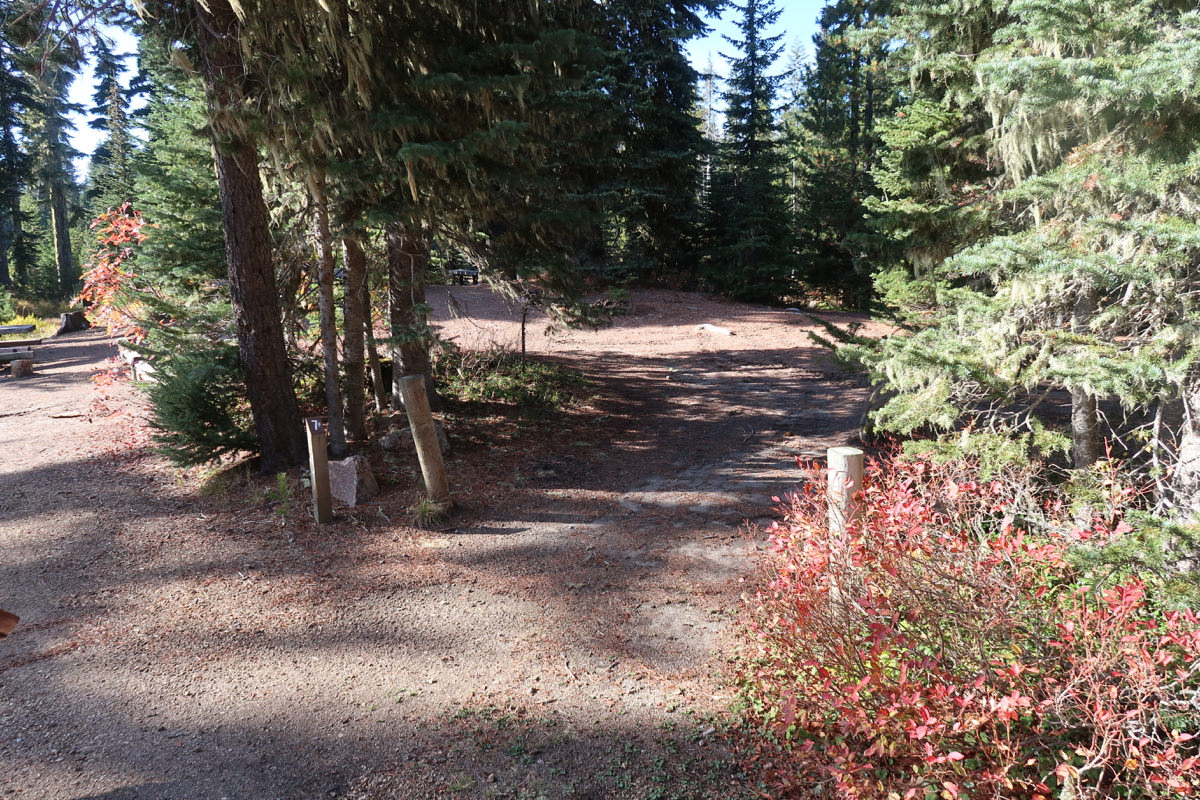 Horseshoe Lake Campground Mt. Adams, Washington