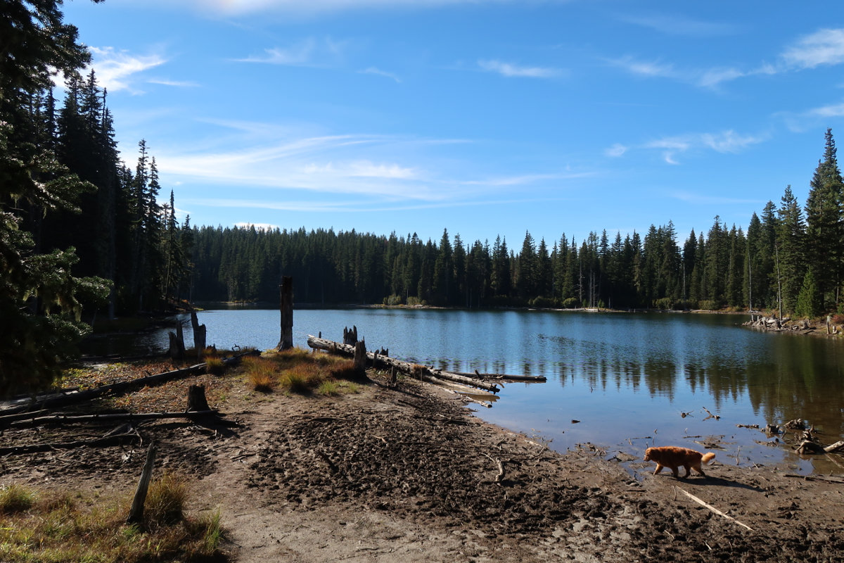 Horseshoe Lake Campground Mt. Adams, Washington