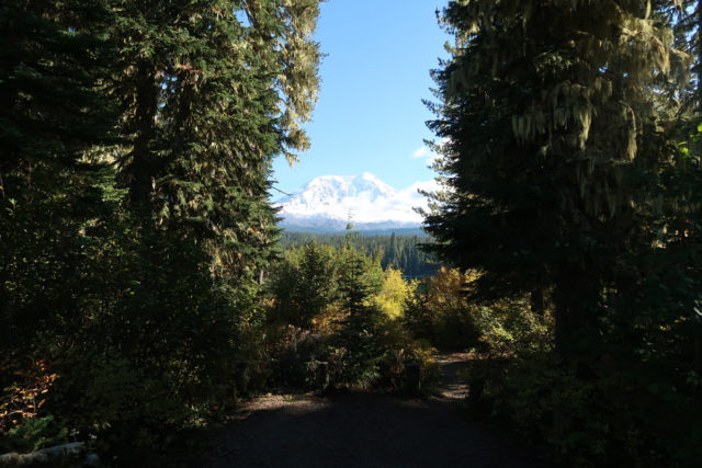 Mt Adams from Campground