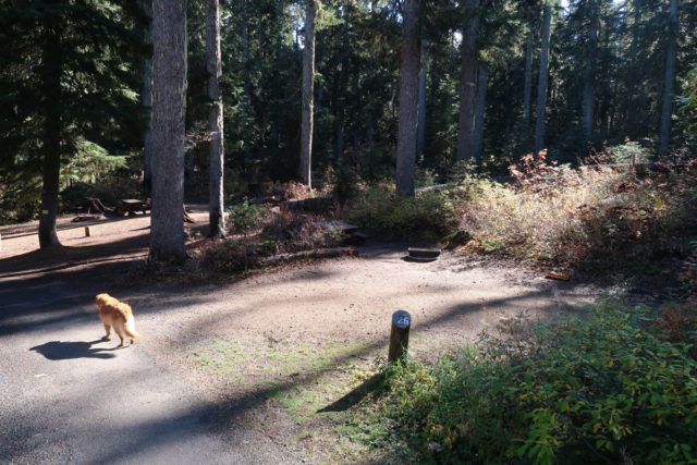 Takhlakh Lake Site# 26