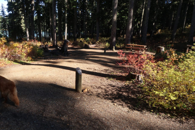 Takhlakh Lake Site# 29
