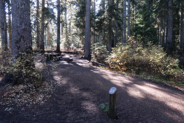 Takhlakh Lake Site# 37