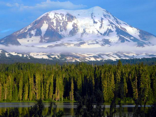 Mount Adams from the lake