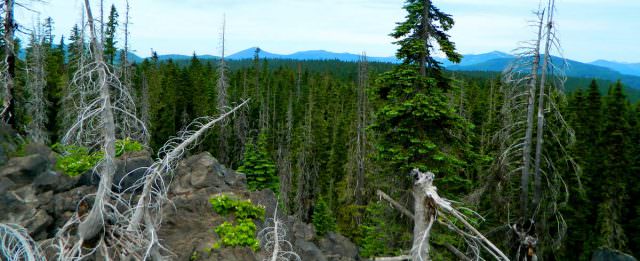 Takhlakh Lake Lava Flow