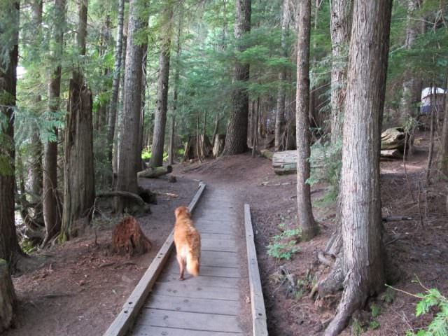 Lost Lake Trail