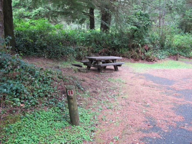 Tahkenitch Campground - 1