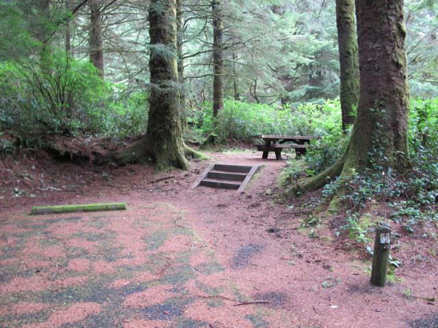 Tahkenitch Campground - 10