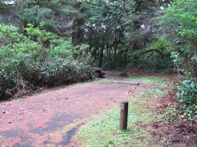 Tahkenitch Campground - 11