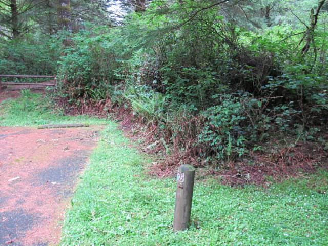 Tahkenitch Campground - 13