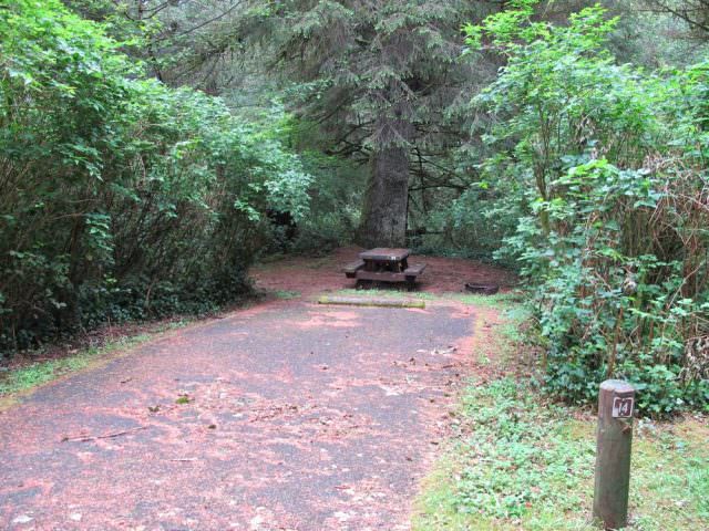 Tahkenitch Campground - 14