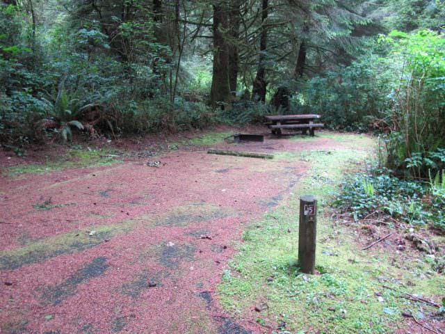 Tahkenitch Campground - 15