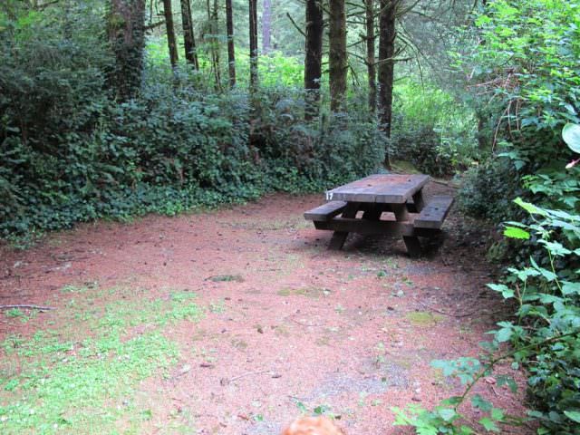 Tahkenitch Campground - 17