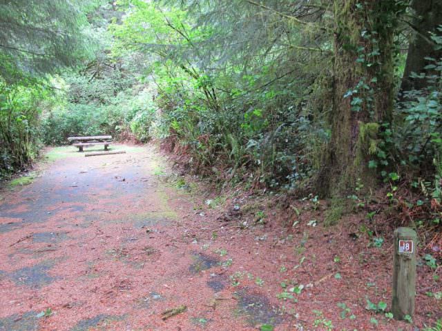 Tahkenitch Campground - 18