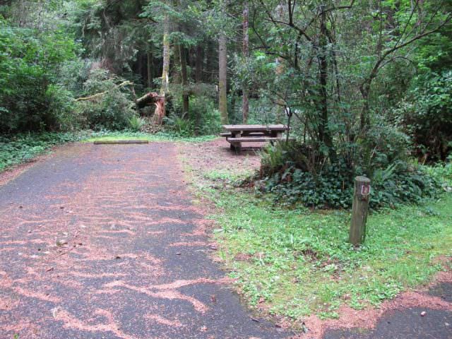 Tahkenitch Campground - 2